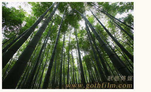 格里菲斯（Griffith）租房 毕业证成绩单认证